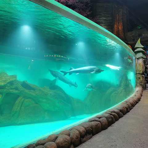 نافذة أكريليك مخصصة لحوض السمك Oceanarium-Leyu مصنع منتجات صفائح الأكريليك 