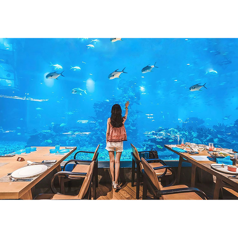العناصر الشائعة في Ocean Park في Washington-leyu Acrylic Factory - Leyu